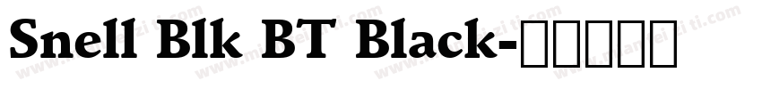 Snell Blk BT Black字体转换